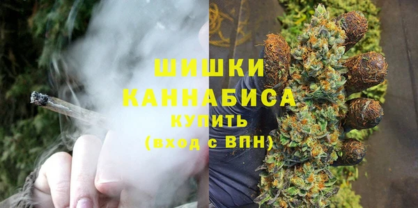 спайс Алзамай