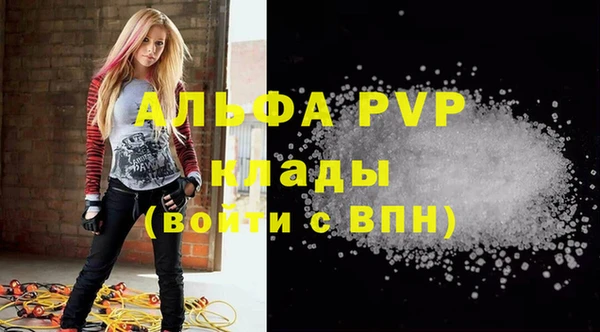 винт Алексин