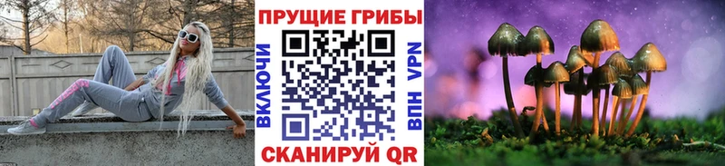 Псилоцибиновые грибы GOLDEN TEACHER Белоярский